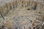 East Field, Wiltshire crop circle, aerial photo 18