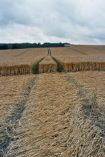 East Field, Wiltshire crop circle, aerial photo 17