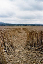 East Field, Wiltshire crop circle, aerial photo 22