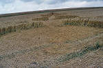 East Field, Wiltshire crop circle, aerial photo 24