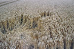 East Field, Wiltshire crop circle, aerial photo 25