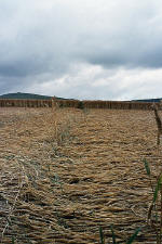 East Field, Wiltshire crop circle, aerial photo 23