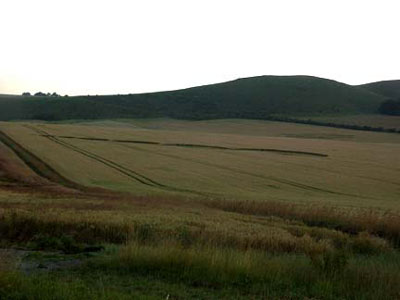 East Field, Wiltshire crop circle, aerial photo 32