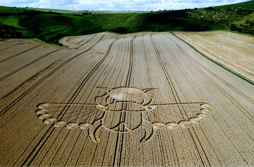 East Field (2), Wiltshire crop circle, aerial photo 5