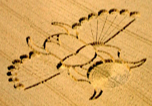East Field (2), Wiltshire crop circle, aerial photo 6