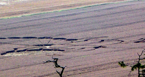 East Field (2), Wiltshire crop circle, aerial photo 13