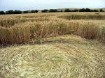 Avebury Henge, Wiltshire crop circle, aerial photo 45