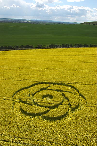 Golden Ball Hill, Wiltshire crop circle, aerial photo 6