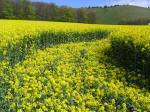 Golden Ball Hill, Wiltshire crop circle, aerial photo 7