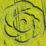 Golden Ball Hill, Wiltshire crop circle, aerial photo 18