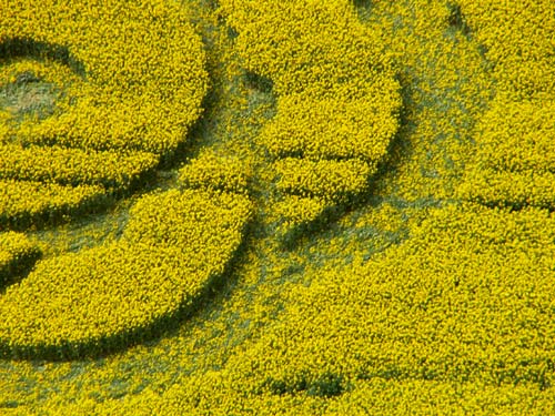 Golden Ball Hill, Wiltshire crop circle, aerial photo 12