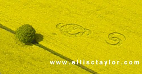 Gotham Farm, Oxfordshire crop circle, aerial photo 2