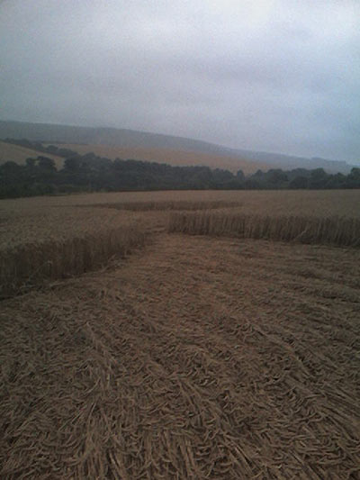 Houndean Bottom, Sussex crop circle, aerial photo 9
