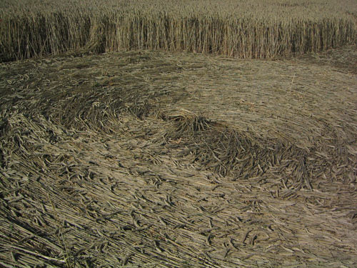 Houndean Bottom, Sussex crop circle, aerial photo 6