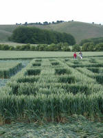 Hundred Acres (East Field), Wiltshire crop circle, aerial photo 45