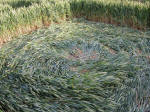 Hundred Acres (East Field), Wiltshire crop circle, aerial photo 40