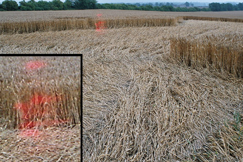 Hundred Acres (East Field), Wiltshire crop circle, aerial photo 34