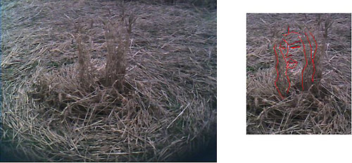 Hundred Acres (East Field), Wiltshire crop circle, aerial photo 6