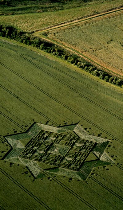 Hundred Acres (East Field), Wiltshire crop circle, aerial photo 51
