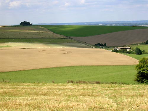 Lancing, Sussex crop circle, aerial photo 5