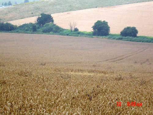 Maple Cross, Hertfordshire crop circle, aerial photo 6