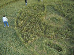 Marden, Wiltshire crop circle, aerial photo 8
