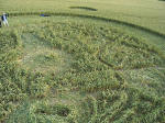 Marden, Wiltshire crop circle, aerial photo 9