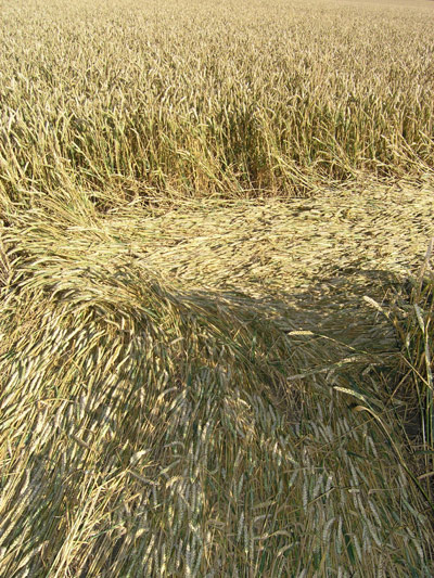 Marden (2), Wiltshire crop circle, aerial photo 12