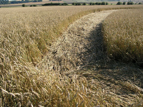 Marden (2), Wiltshire crop circle, aerial photo 13