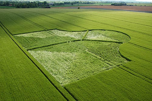Milk Hill, Wiltshire crop circle, aerial photo 3
