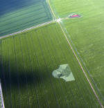 Milk Hill, Wiltshire crop circle, aerial photo 15