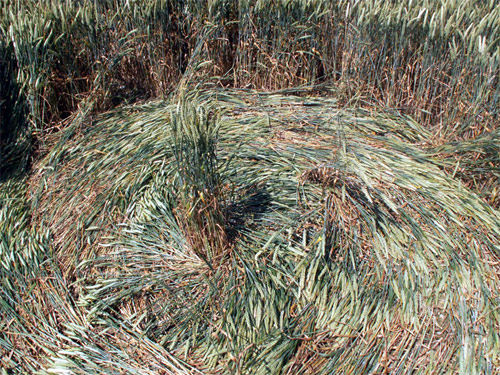 Milk Hill (3), Wiltshire crop circle, aerial photo 6