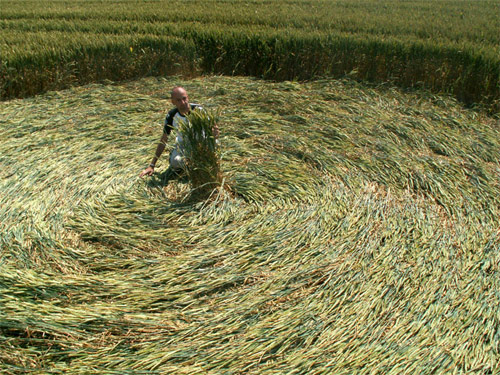 Milk Hill (3), Wiltshire crop circle, aerial photo 7