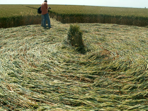 Milk Hill (3), Wiltshire crop circle, aerial photo 13