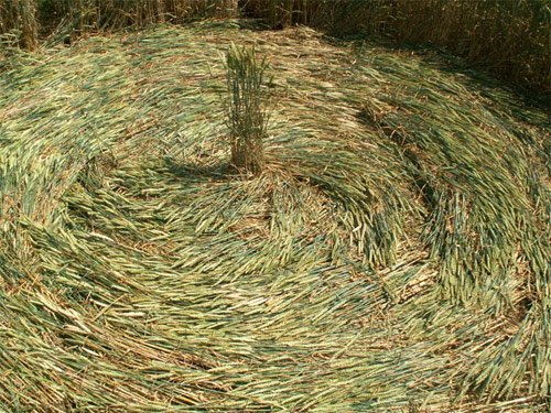 Milk Hill (3), Wiltshire crop circle, aerial photo 14