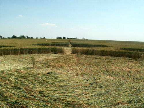 Milk Hill (3), Wiltshire crop circle, aerial photo 16