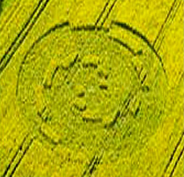 Ripley, Dorset crop circle, aerial photo 2