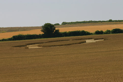 Sheep Pond Lane, Hampshire crop circle, aerial photo 8