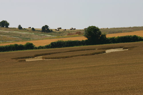 Sheep Pond Lane, Hampshire crop circle, aerial photo 9