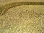 Sheep Pond Lane, Hampshire crop circle, aerial photo 7