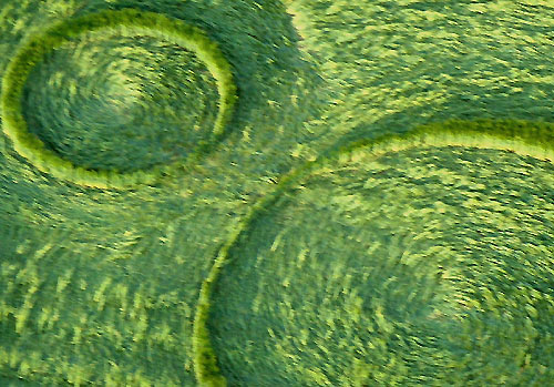 Avebury Trusloe, Wiltshire crop circle, aerial photo 31