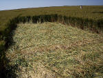 Silbury Hill (2), Wiltshire crop circle, aerial photo 41
