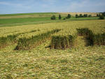 Silbury Hill (2), Wiltshire crop circle, aerial photo 49