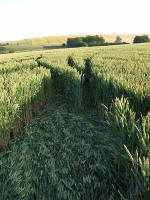 Silbury Hill (2), Wiltshire crop circle, aerial photo 18