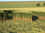 Silbury Hill (2), Wiltshire crop circle, aerial photo 20