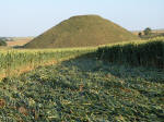 Silbury Hill (2), Wiltshire crop circle, aerial photo 21