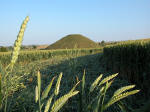 Silbury Hill (2), Wiltshire crop circle, aerial photo 22