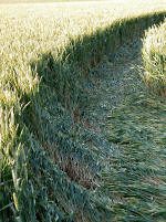 Silbury Hill (2), Wiltshire crop circle, aerial photo 9