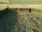 Silbury Hill (2), Wiltshire crop circle, aerial photo 11