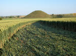 Silbury Hill (2), Wiltshire crop circle, aerial photo 12